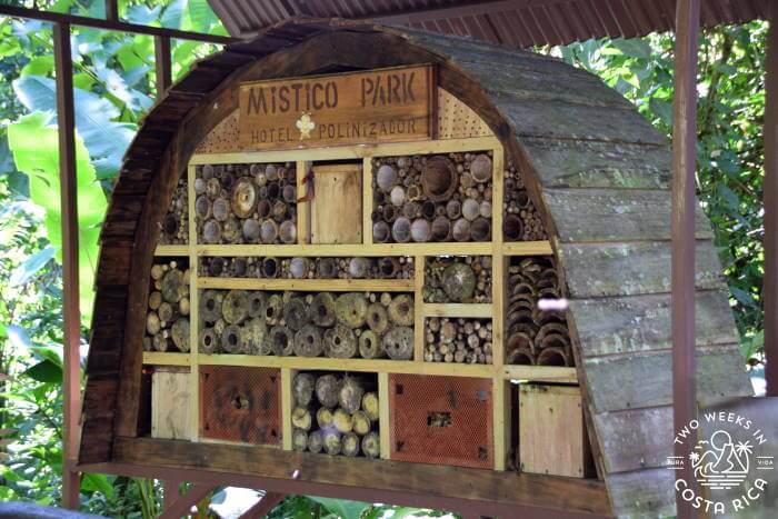 Bee House Exhibit Mistico