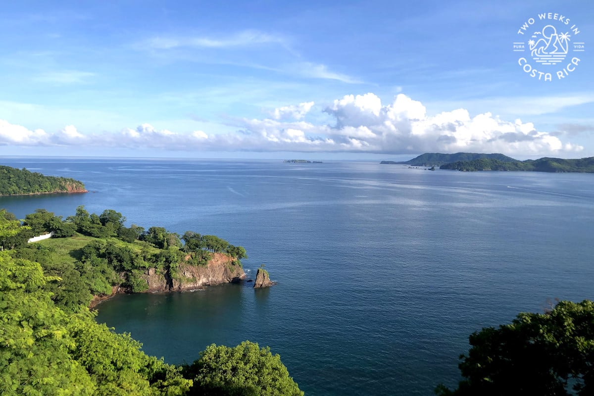 looking at an ocean cove from above with forest covered points in the foreground