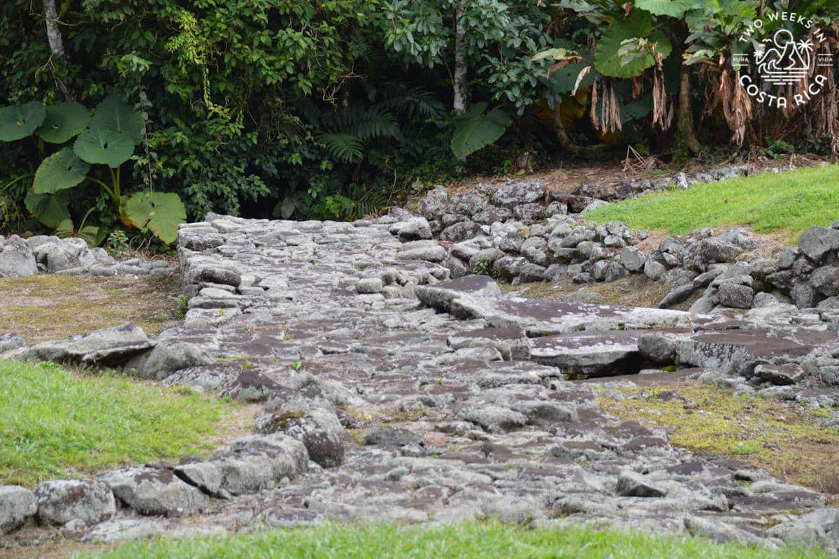 An ancient stone path covered with lichens
