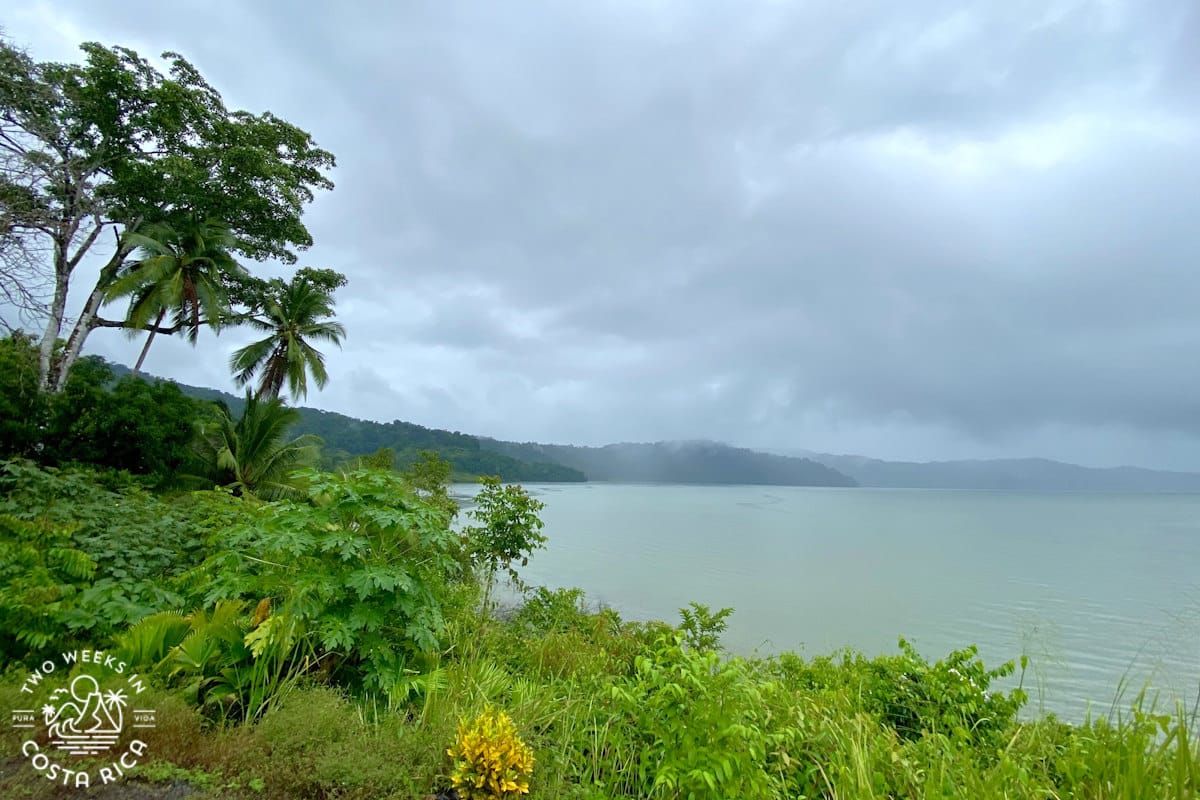 an ocean cove backed by thick green plants with a cloudy sky