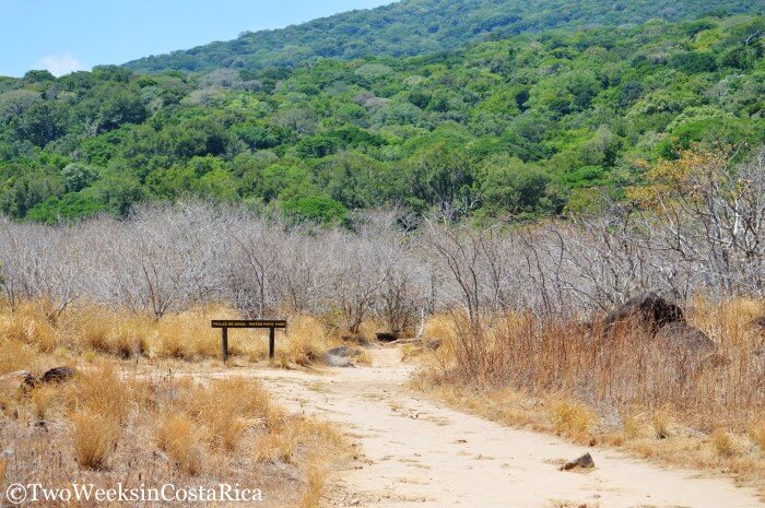 Rainforest meets the dry plains at Rincon de la Vieja National Park