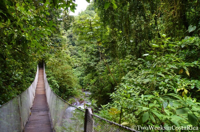 Rainmaker Conservation Project | Two Weeks in Costa Rica