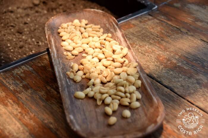 Coffee Beans Unroasted