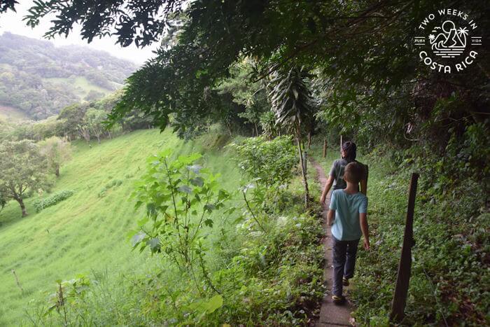 Forest Trail at Farm