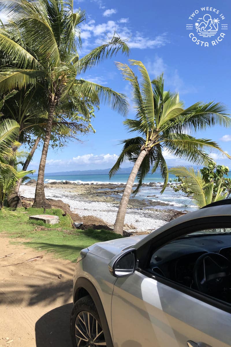 Looking over the side of a car toward the beach, ocean, and palm trees
