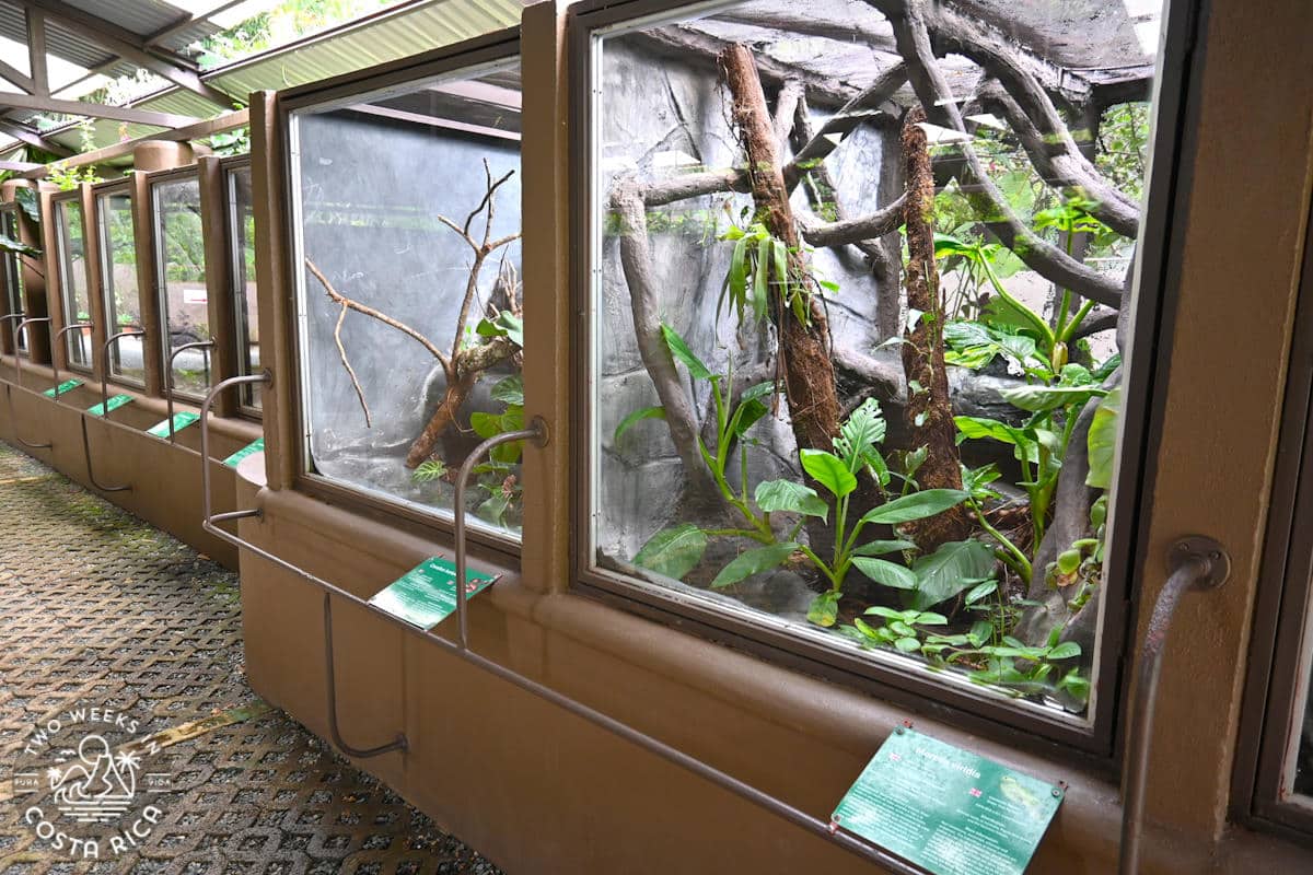 landscaped snake enclosures at parque reptilandia in dominical costa rica