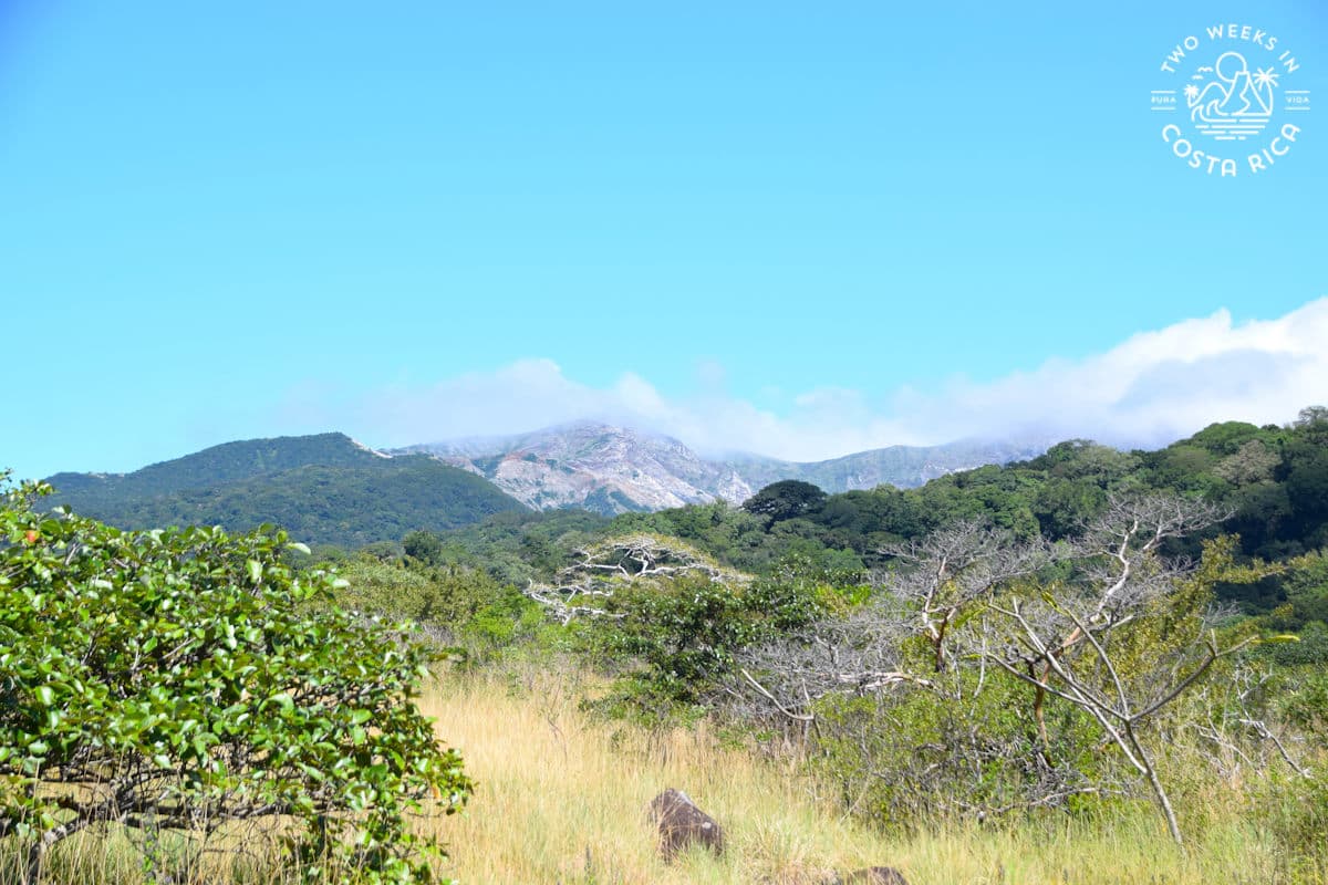 view of rincon de la vieja volcano in the distance