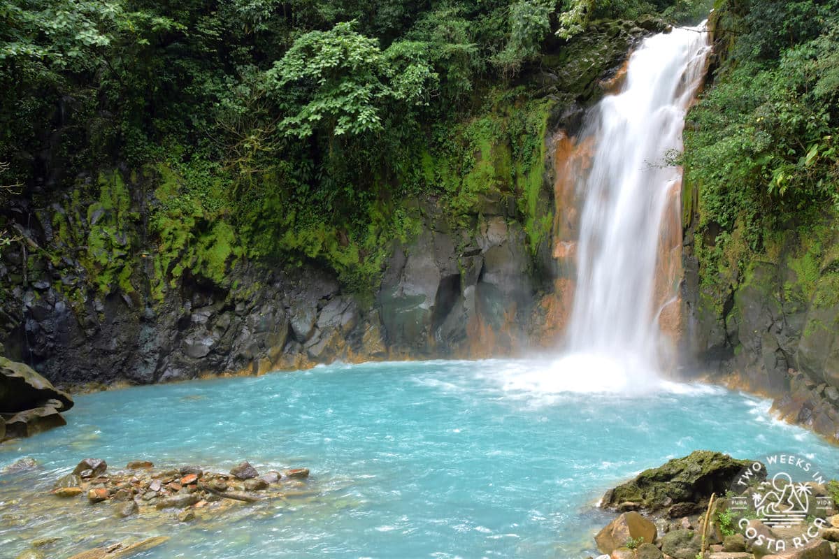 waterfall with bright blue water surrounded by green trees
