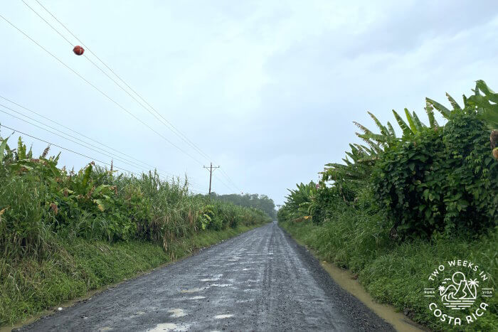 Route 806 to Cano Blanco