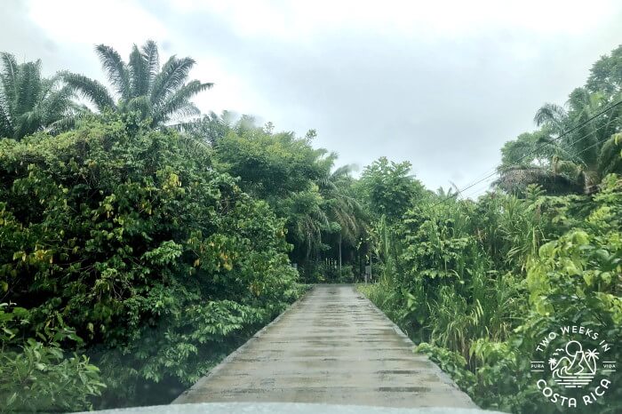 Nun's Bridge Pavones Costa Rica