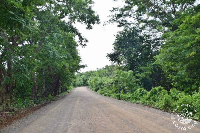 dirt road to Playa Avellanas