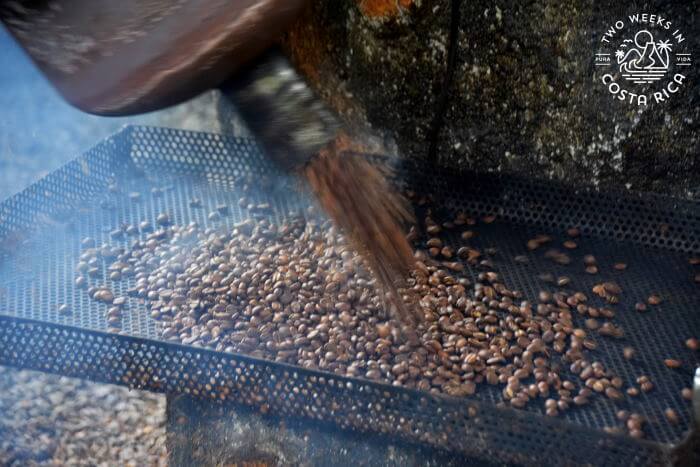 Coffee roasting demonstration North Fields Cafe