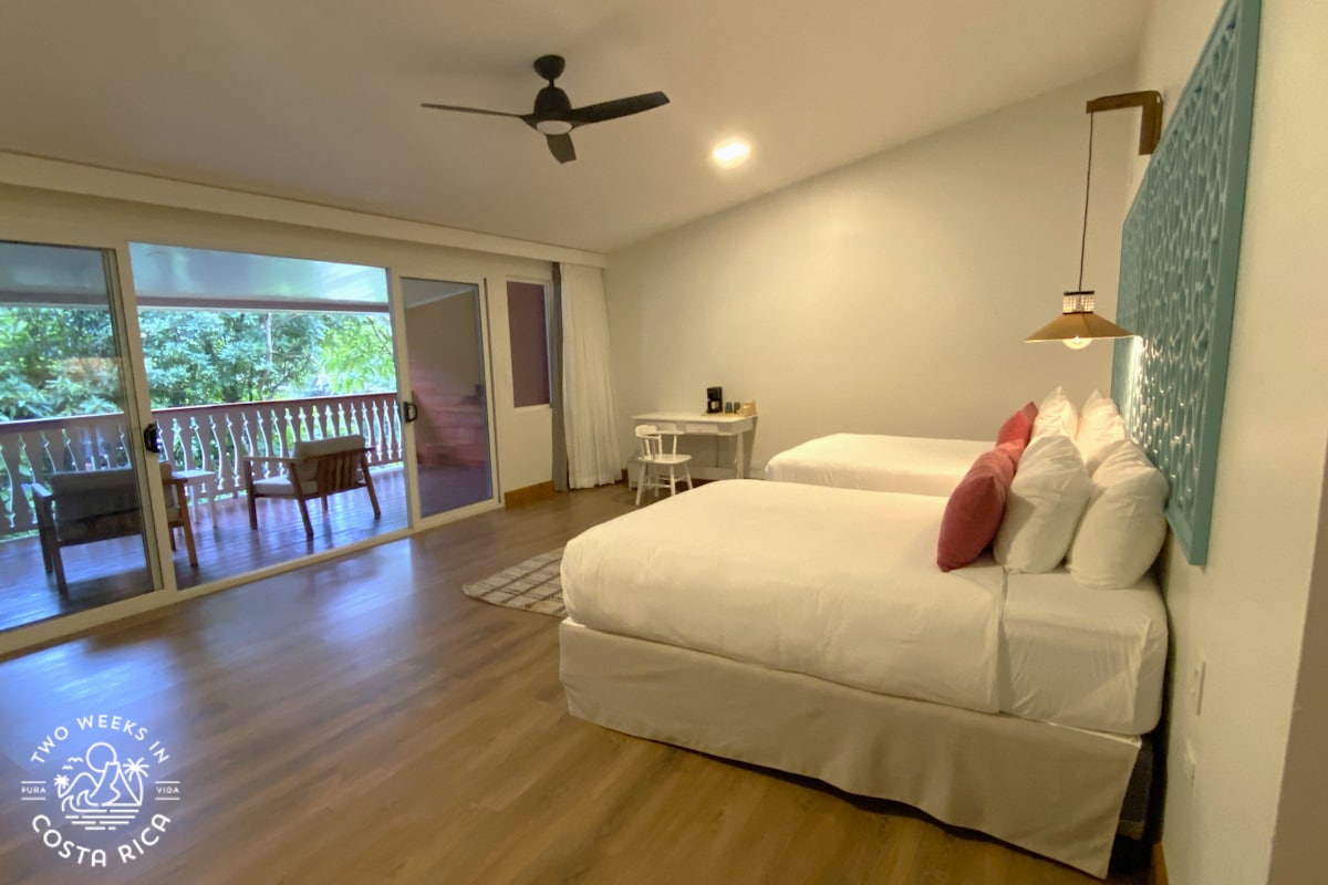 euphonia suite at the cloud forest lodge in monteverde