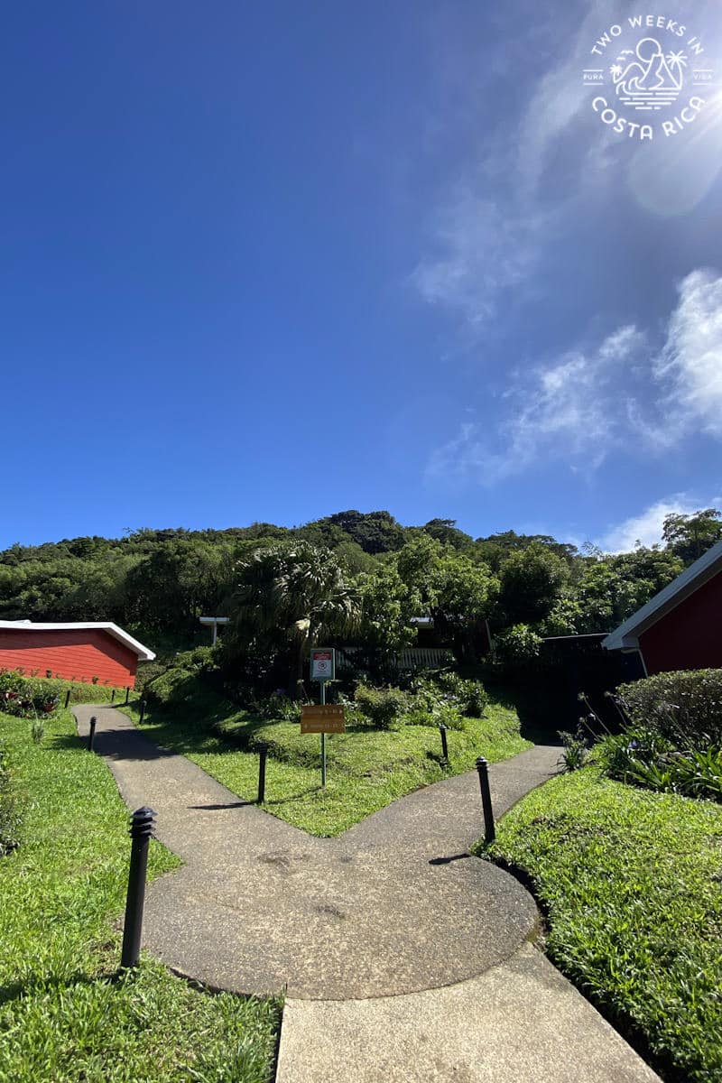 walkway to the hotel buildings at cloud forest lodge