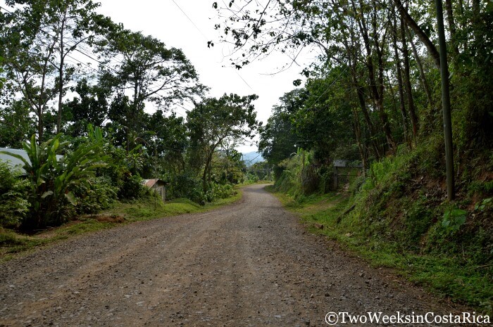 Road Conditions in Costa Rica - Route 239