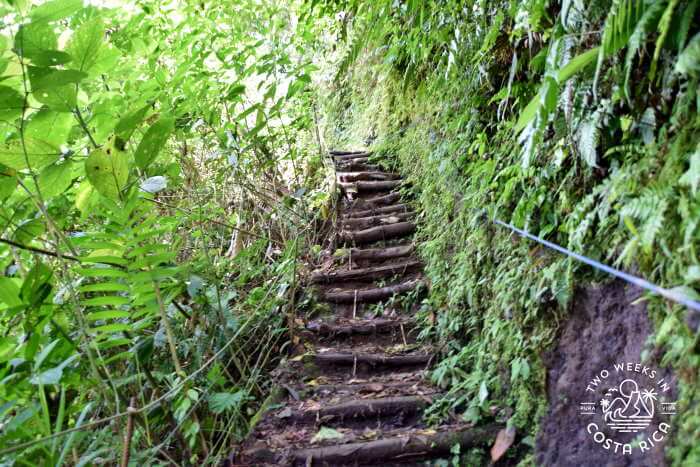 wood and dirt steps on the trail