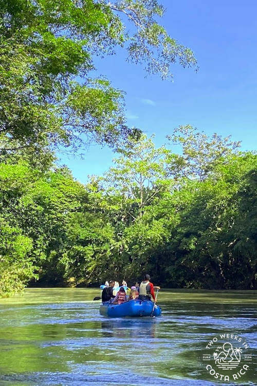 raft on calm river with large trees