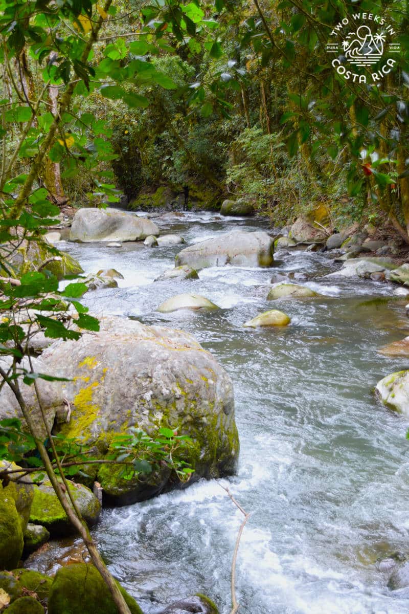 the wide rio savegre in san gerardo de dota