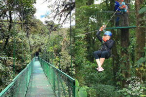 Selvatura Combo Tour