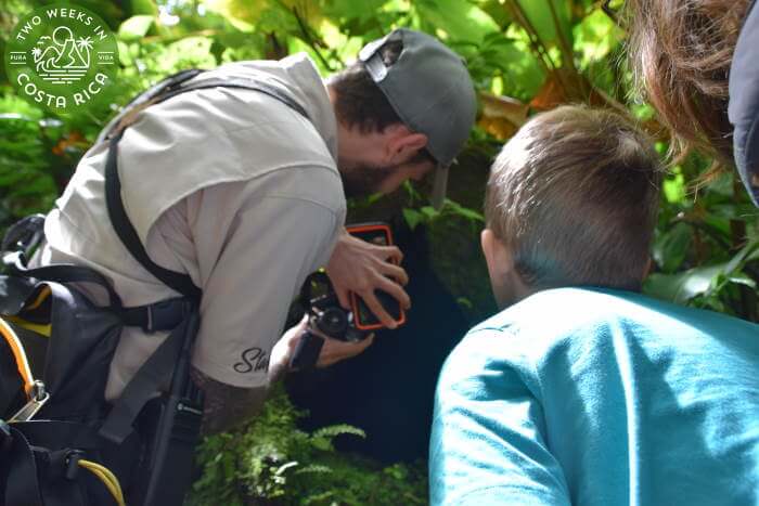 Guide spotting wildlife in Santa Elena Costa Rica