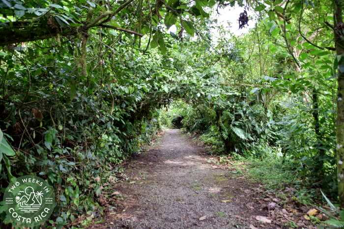 Easier Hiking Trail Mirador El Silencio