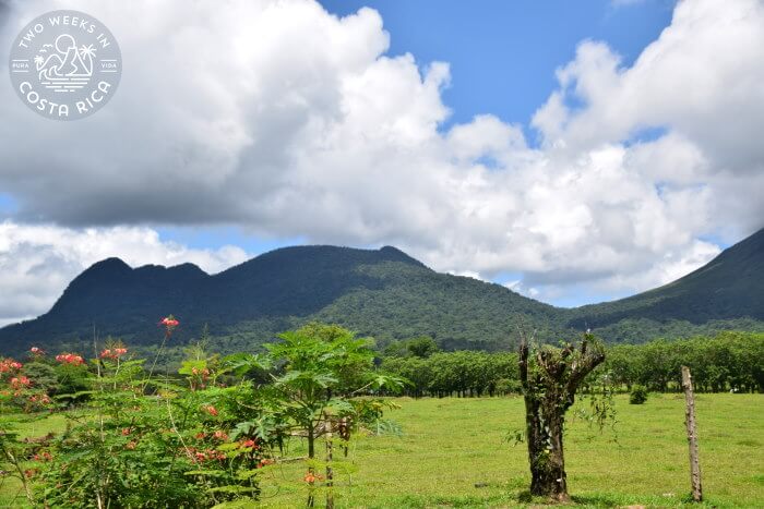 View of Cerro Chato from Bogarin Trail