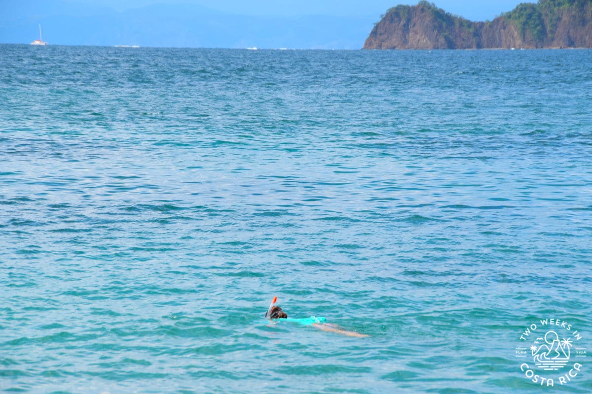 person snorkeling in the ocean