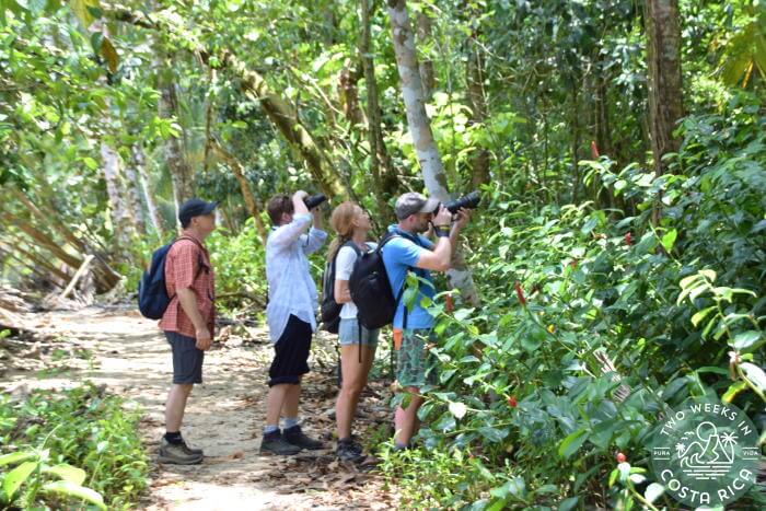 Visitors Cahuita National Park