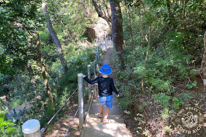 Boy walking down concrete steps through forest
