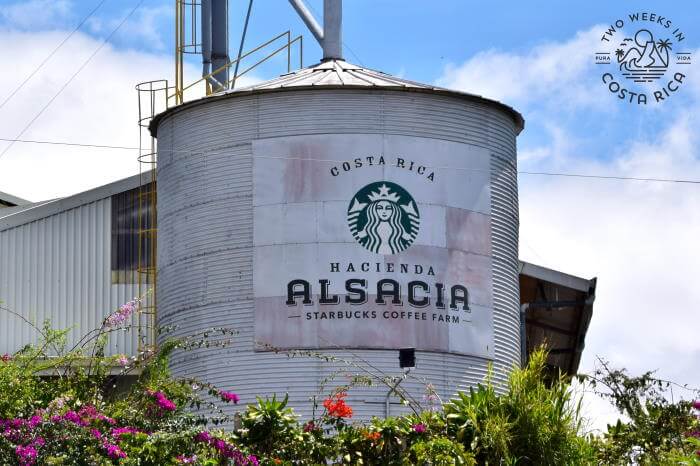 Starbucks Coffee Tour Costa Rica