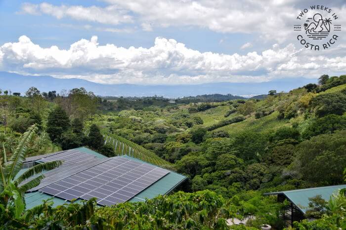 Starbucks Hacienda Alsacia