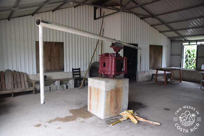 Sugar Cane Extraction