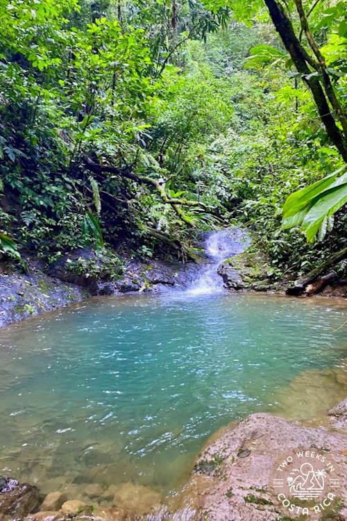 Green waterfall pool in the rainforest 