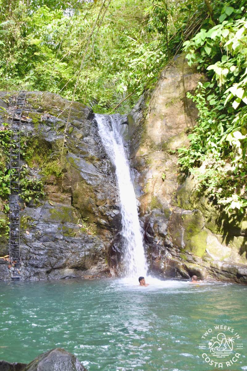 someone swimming in the pool at uvita waterfall in costa rica