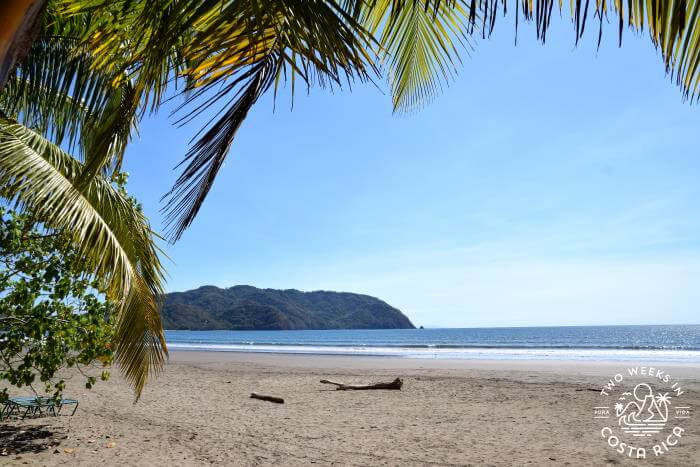 Looking through the palm trees at the ocean at Playa Tambor Costa Rica
