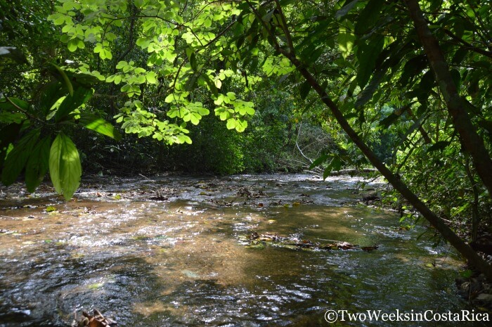 Quebrada Bonita inside Carara National Park