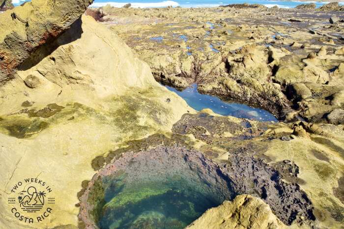 Deep tide pools Mal Pais