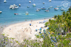 Tortuga Island Tour from Jaco