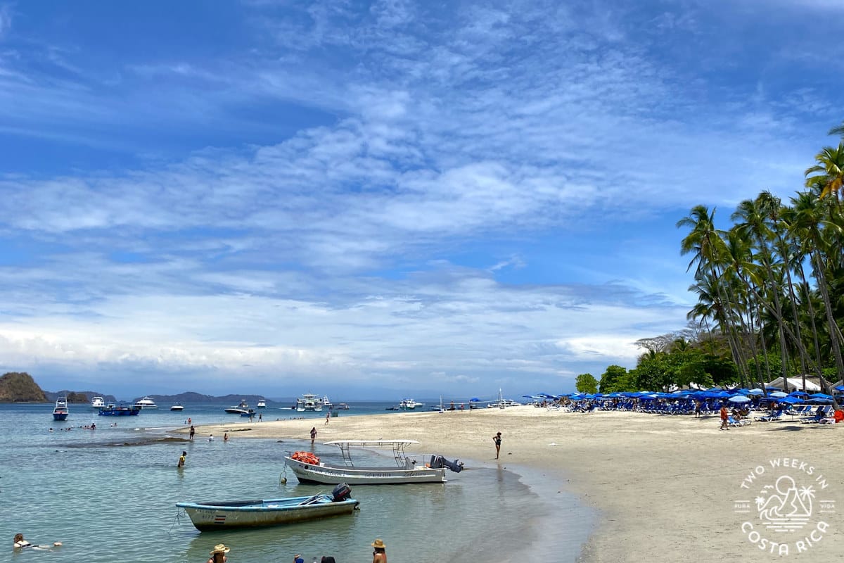 the white sand tortuga island montezuma day trip