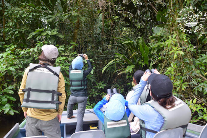 A family looking into the trees with binoculars during a boat tour through Tortuguero National Park