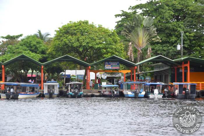 Tortuguero Docks