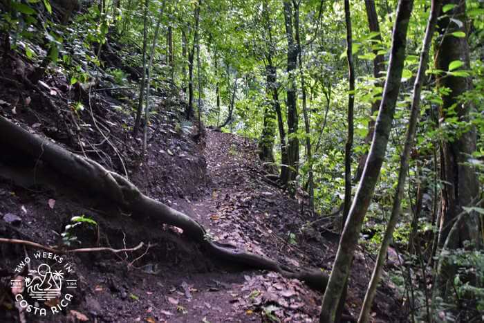 Dirt trail King Louis Waterfall