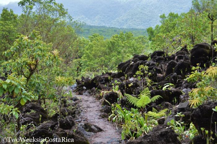 trail through old lava flows 