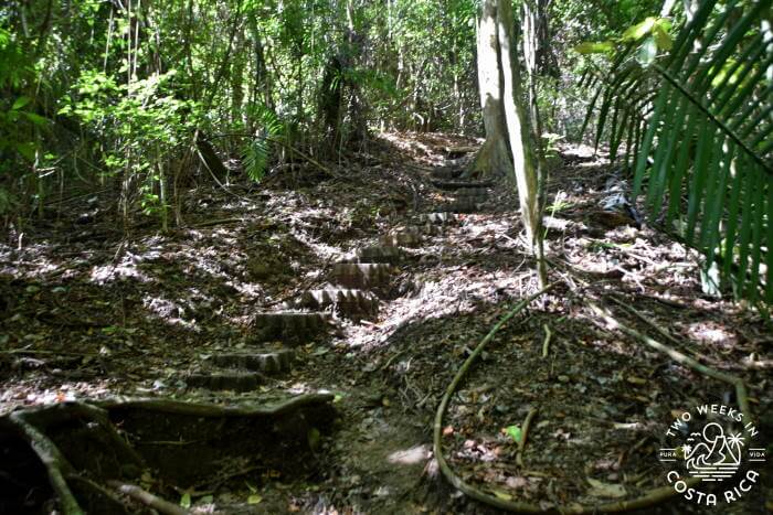 the uneven Sueco Trail 