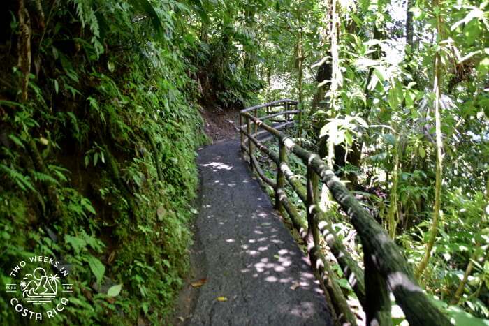 Concrete trail at Mistico in Arenal
