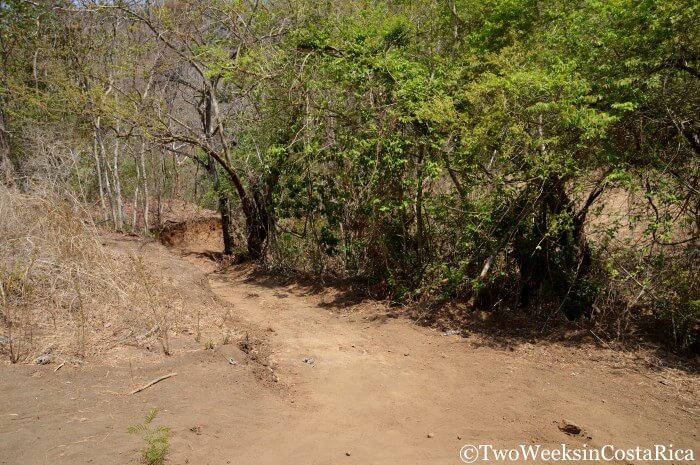 Trail to the Belen Waterfall near Samara Costa Rica