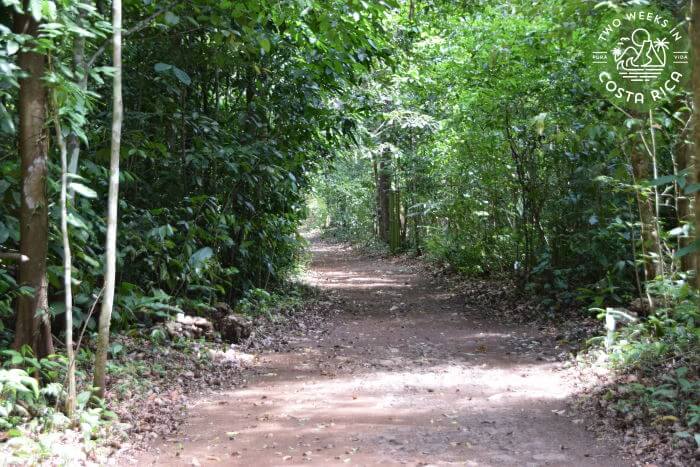 Trail to Catarata El Salto de Gamalotillo