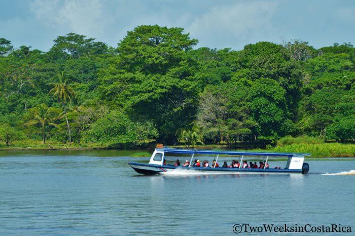 Boat taxi Transportation to Tortuguero 