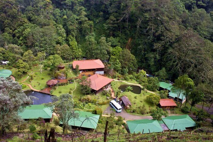Trogon Lodge, San Gerardo de Dota, from above