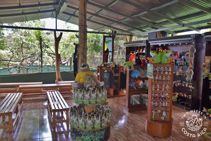 Visitors Center Toucan Rescue Ranch